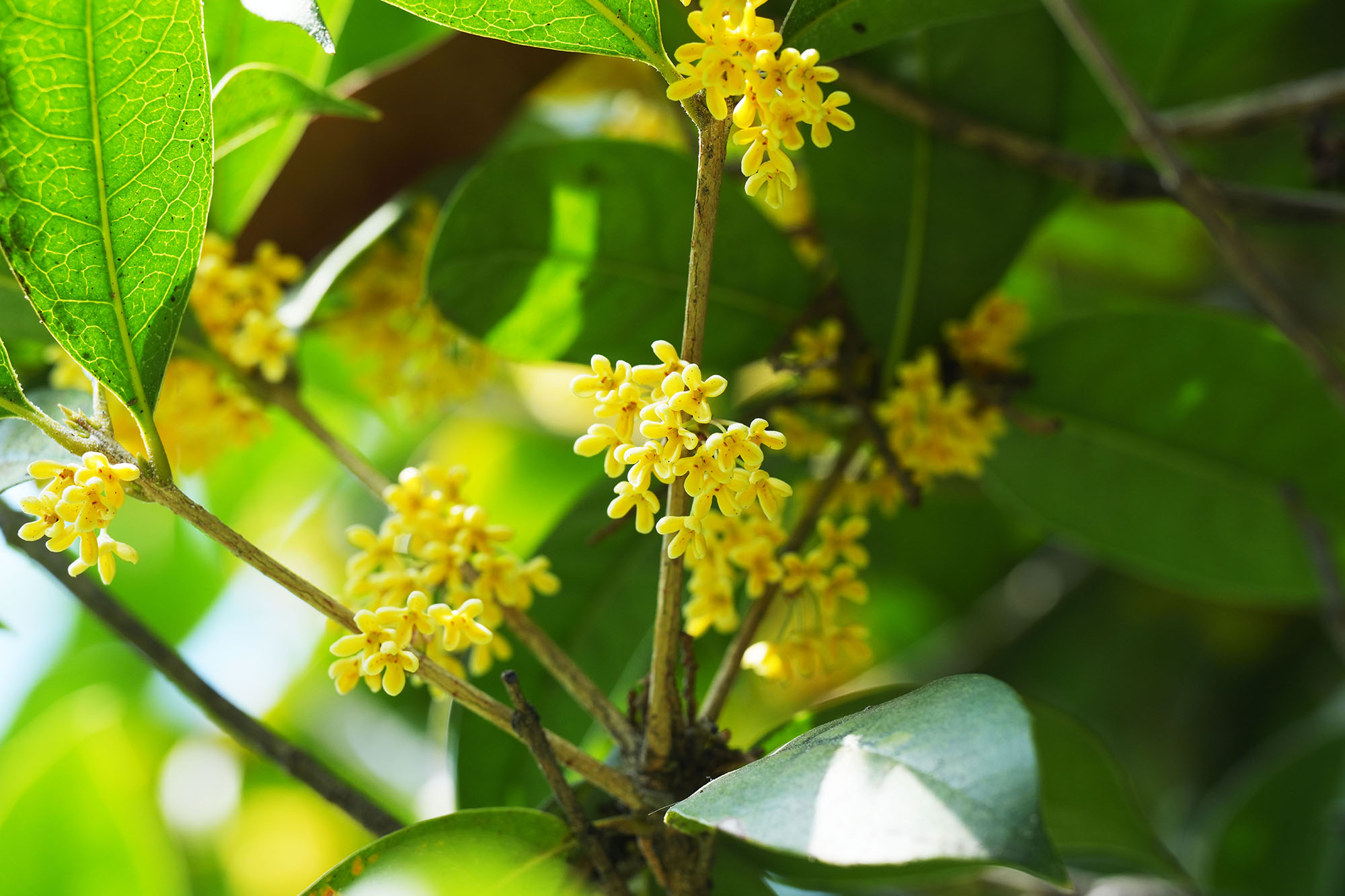 中国·永利yl23455(股份)有限公司-官方网站